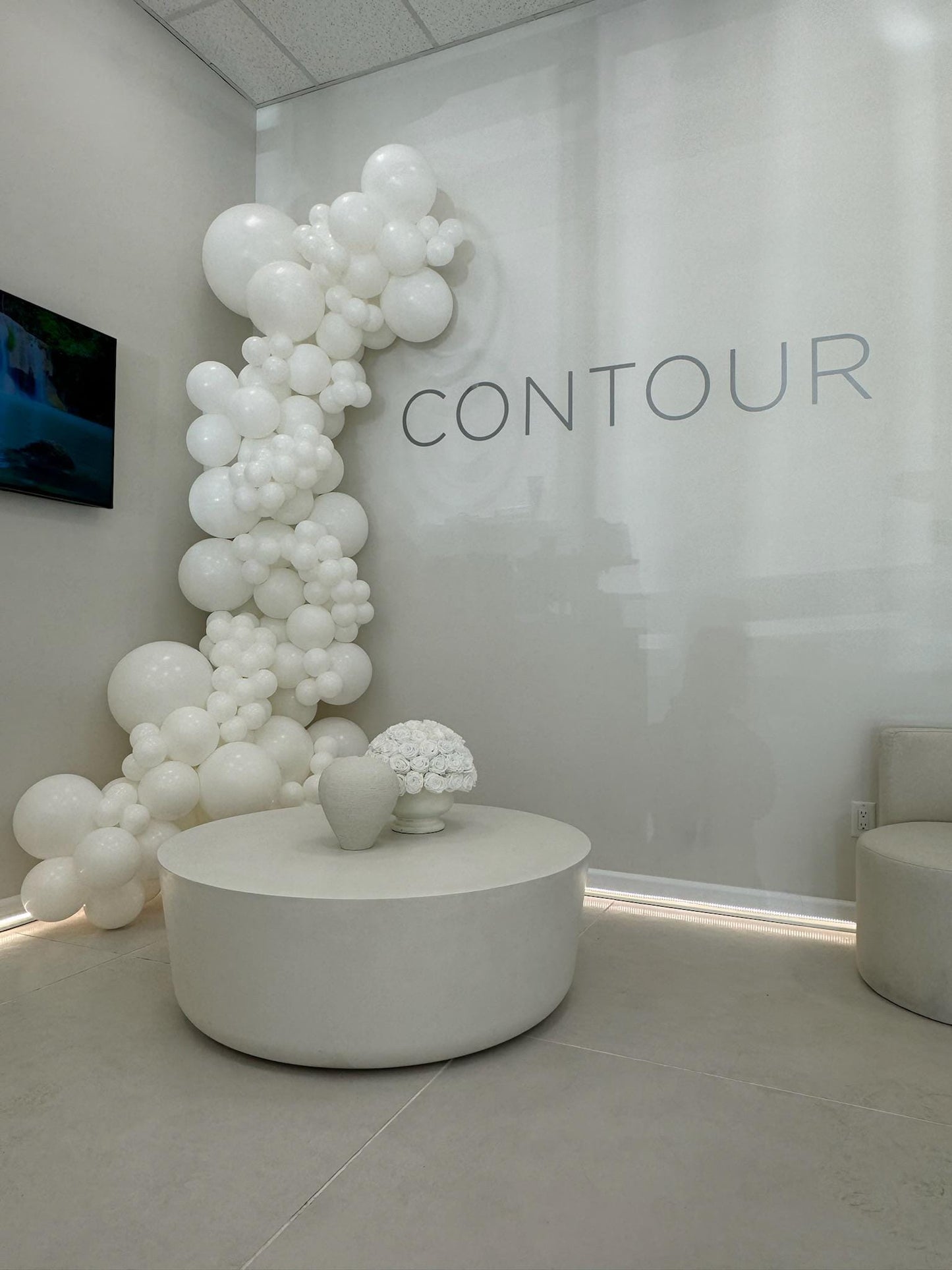 Balloon Arch White Winter Wonderland