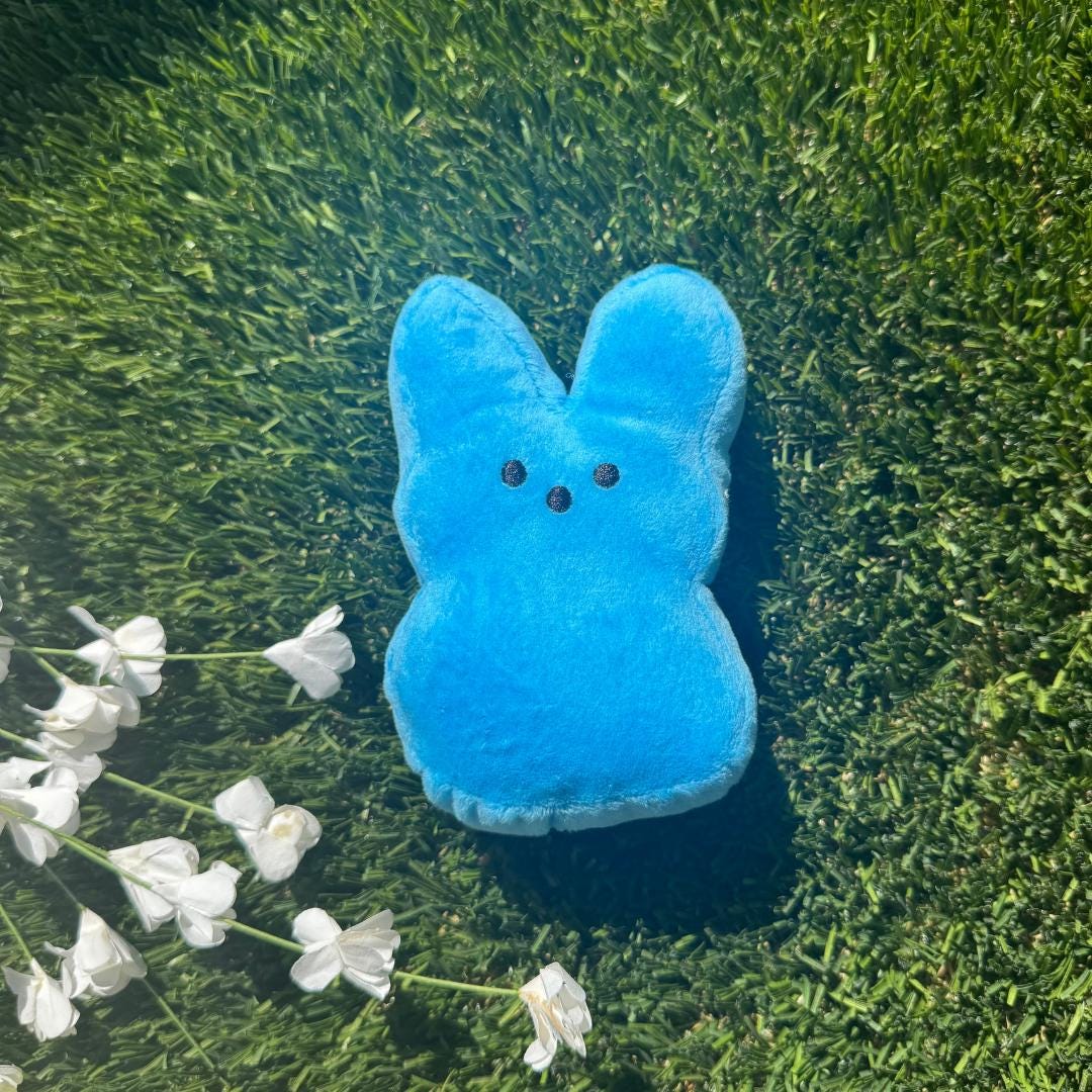 Bunny Plush For Easter Egg Hunt