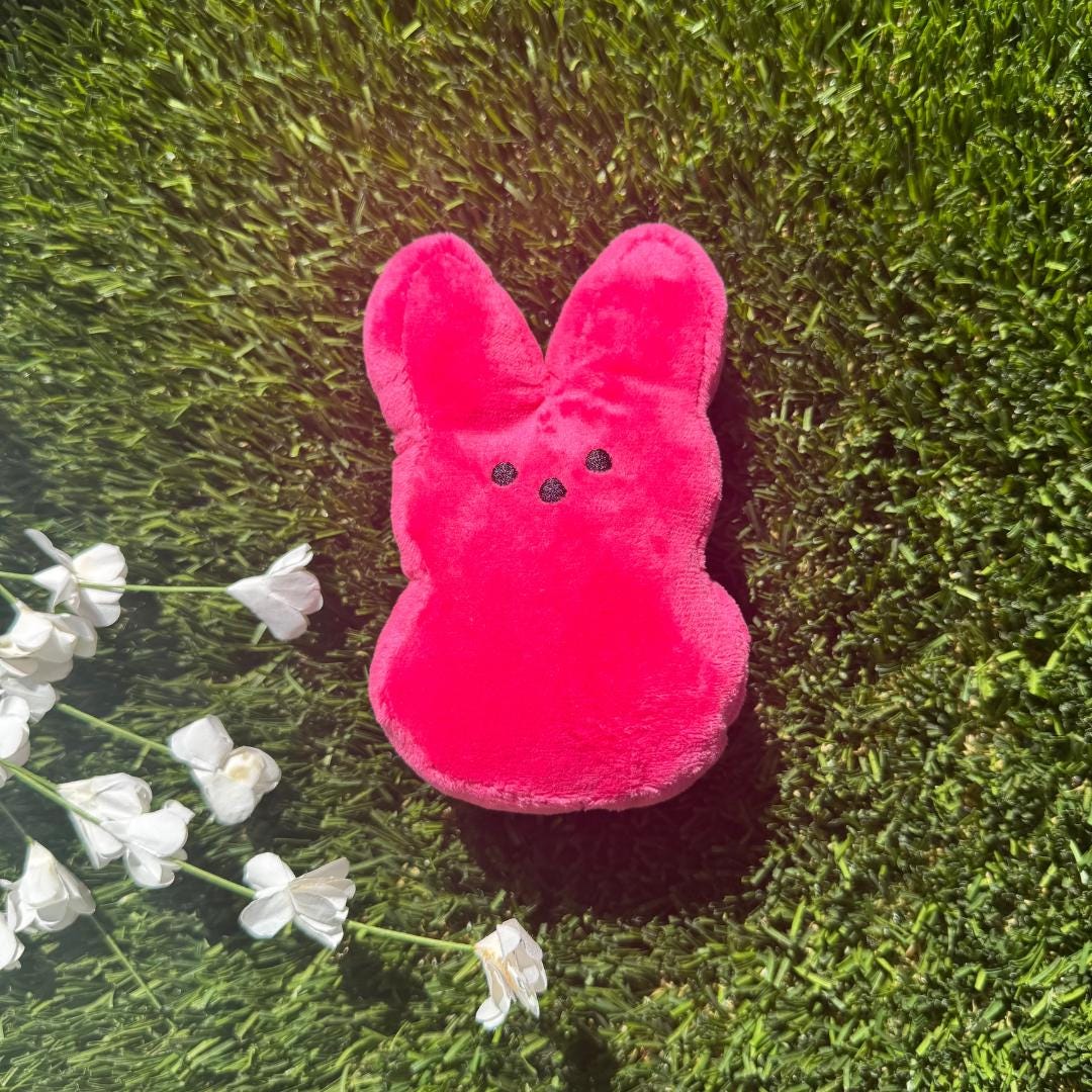 Easter Present for Grandkids Customizable Peeps