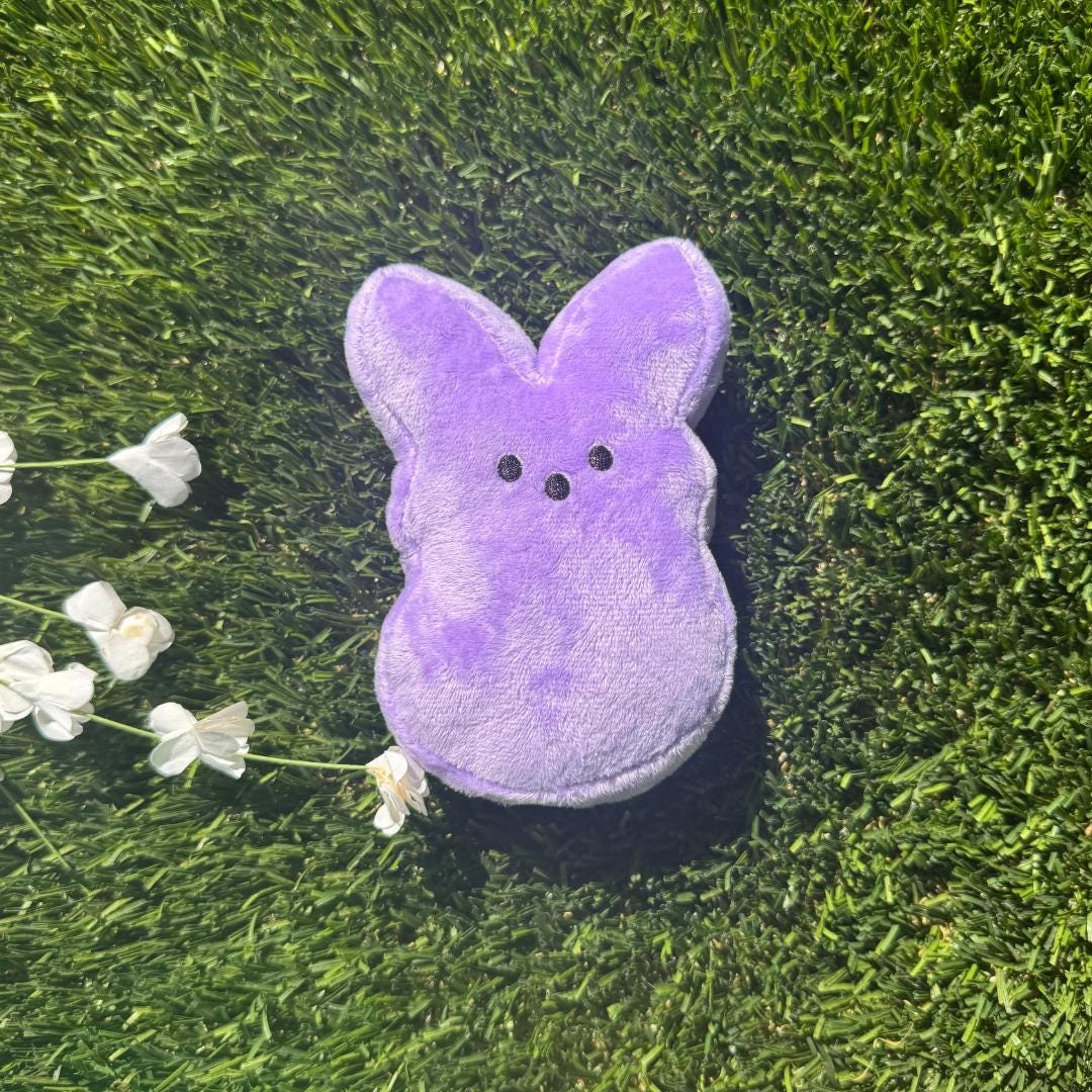 Customizable Peeps Bunny Plush For Easter Egg Hunt