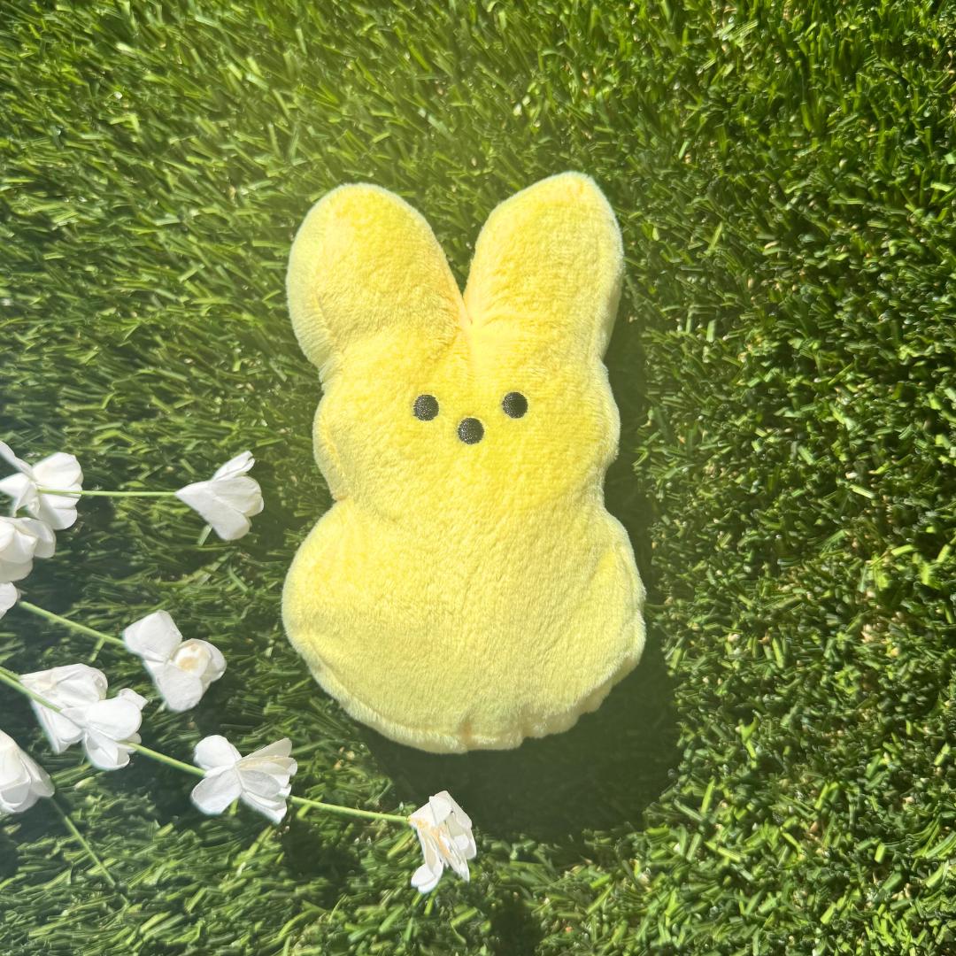 Easter Gift Basket Stuffer for Easter Present