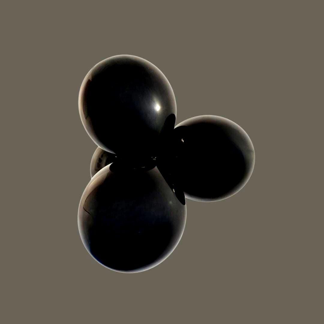 Black  Color Scheme theme scheme decor