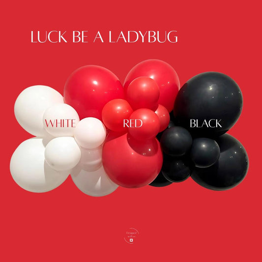 DIY Balloon Garland Arch Set for Party