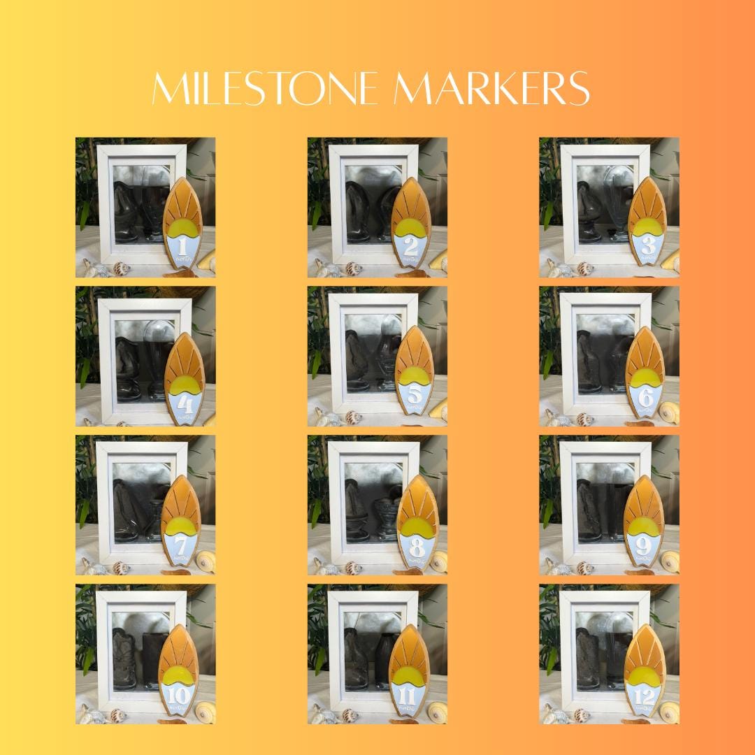 Milestone Markers Surf Birthday Party Decorations