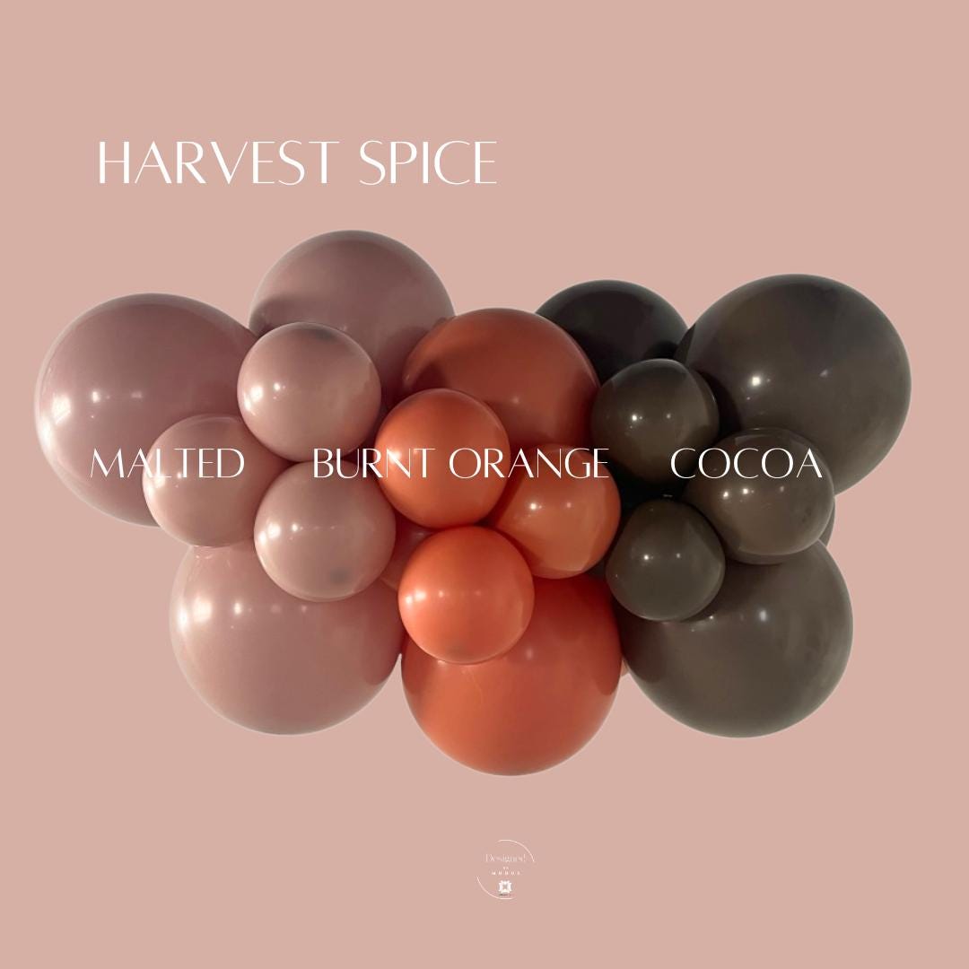 Harvest Spice balloon garland kit with malted mauve, burnt orange, and cocoa brown balloons — a cozy autumn balloon arch backdrop for Thanksgiving or fall birthdays.